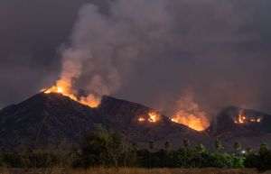 Incendiile din Ontario se extind; disputa dintre Canada şi SUA se amplifică pe fondul... fumului
